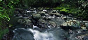 Diamond Laundry Group Commitment to Environment